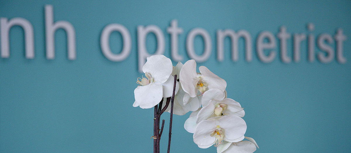 nh optometrist